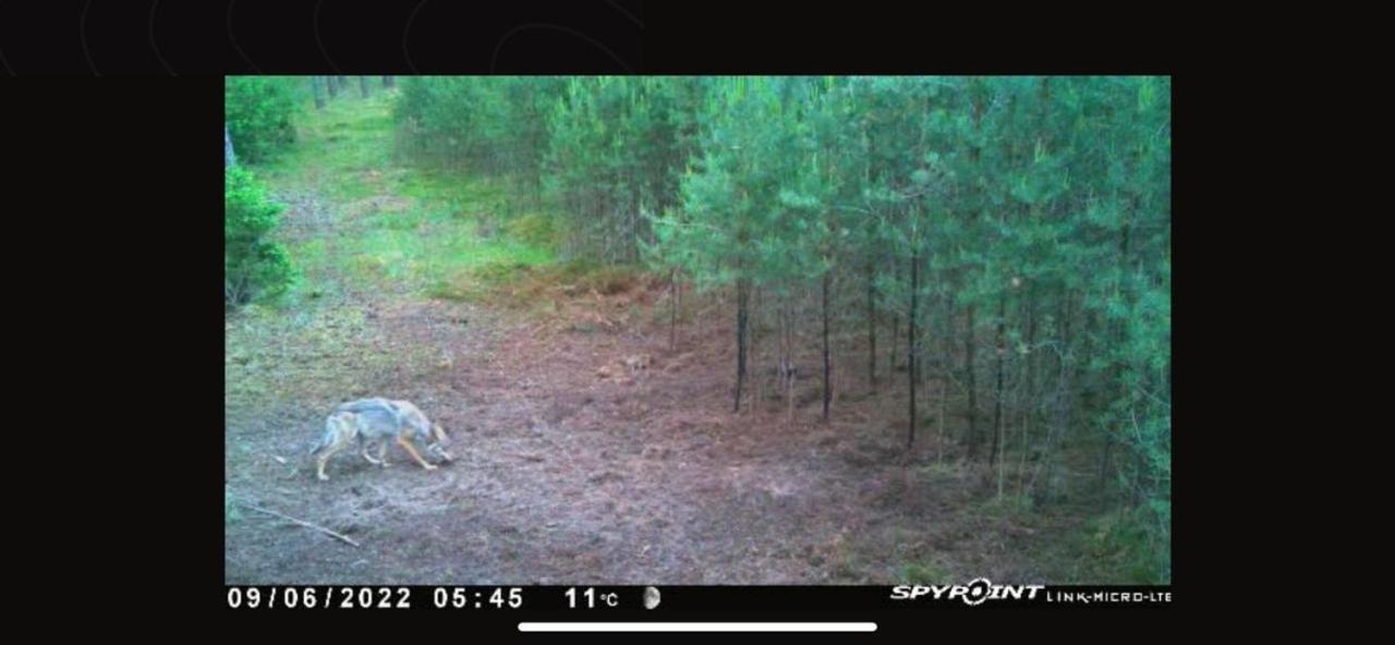 Jagd-Angler-Suite-04-im-Wald-am-See Kyritz Exterior foto